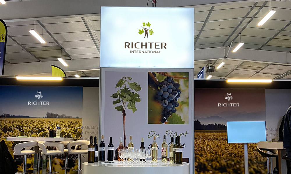 richter-v